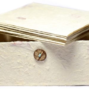 Bougainvillea Handmade Greeting Cards & Envelope Box Set - Lokta