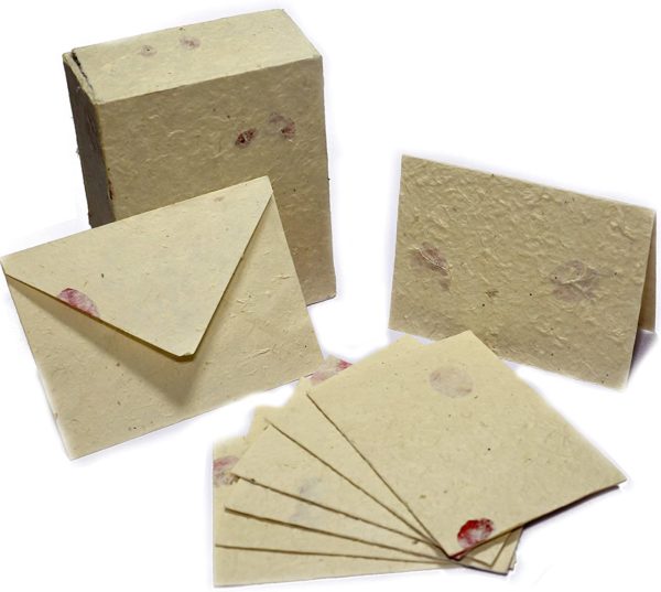 Bougainvillea Handmade Greeting Cards & Envelope Box Set - Lokta (1)