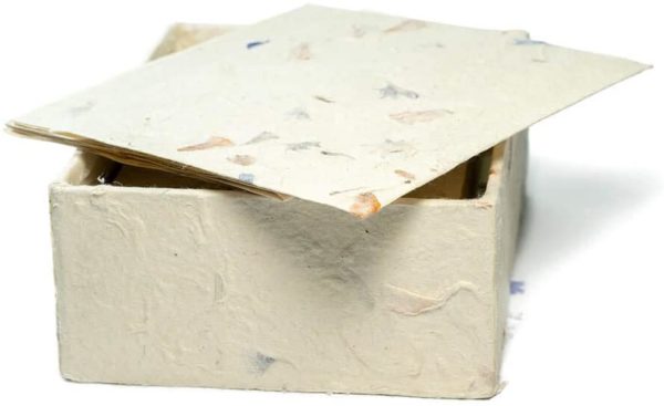 White Bougainvillea Flower Pressed Handmade Greeting Card & Envelope Box Set - Lokta (2)