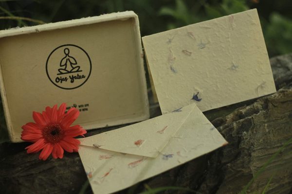 White Bougainvillea Flower Pressed Handmade Greeting Card & Envelope Box Set - Lokta (3)