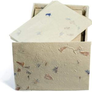 White Bougainvillea Flower Pressed Handmade Greeting Card & Envelope Box Set - Lokta